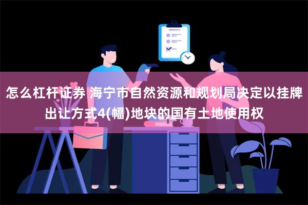 怎么杠杆证券 海宁市自然资源和规划局决定以挂牌出让方式4