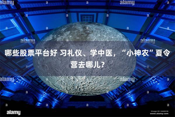 哪些股票平台好 习礼仪、学中医，“小神农”夏令营去哪儿？