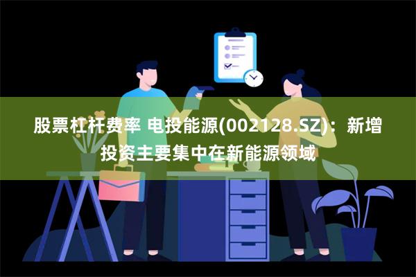 股票杠杆费率 电投能源(002128.SZ)：新增投资主要集中在新能源领域