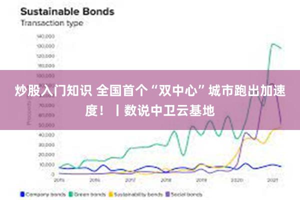 炒股入门知识 全国首个“双中心”城市跑出加速度！丨数说中卫云基地