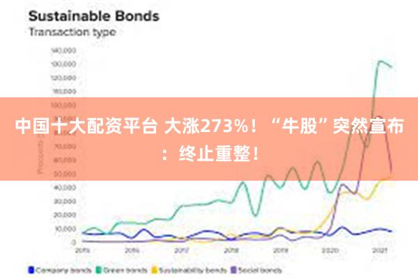 中国十大配资平台 大涨273%！“牛股”突然宣布：终止重