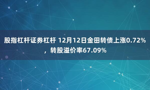 股指杠杆证券杠杆 12月12日金田转债上涨0.72%，转股溢价率67.09%