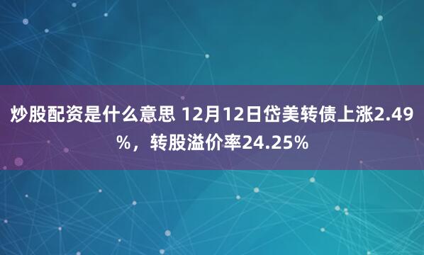 炒股配资是什么意思 12月12日岱美转债上涨2.49%，转股溢价率24.25%