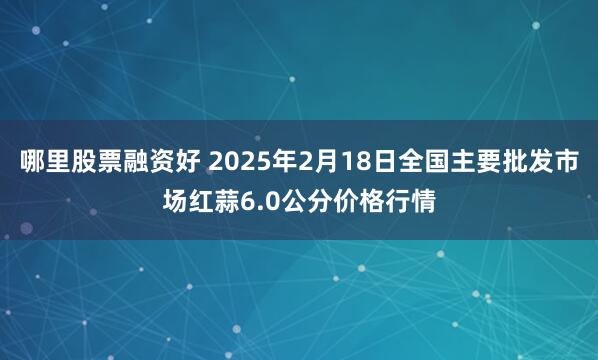 哪里股票融资好 2025年2月18日全国主要批发市场红蒜6.0公分价格行情