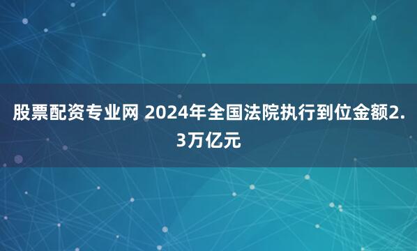 股票配资专业网 2024年全国法院执行到位金额2.3万亿元